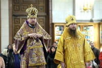 В Неделю 17-ю по Пятидесятнице митрополит Владимир совершил Божественную литургию в Спасо-Преображенском кафедральном соборе