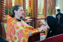 IMG_1646.jpg