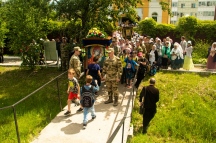 IMG_8993.jpg
