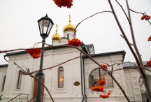 IMG_7926.jpg