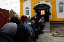 IMG_8494.jpg
