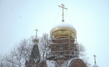 DSC09282.jpg