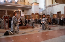 IMG_8693.jpg