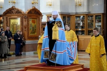 DSC_3702.JPG