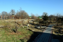 DSC_5913.JPG