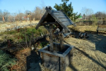 DSC_5922.JPG