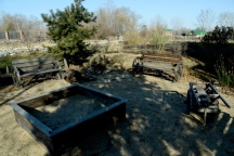 DSC_5923.JPG